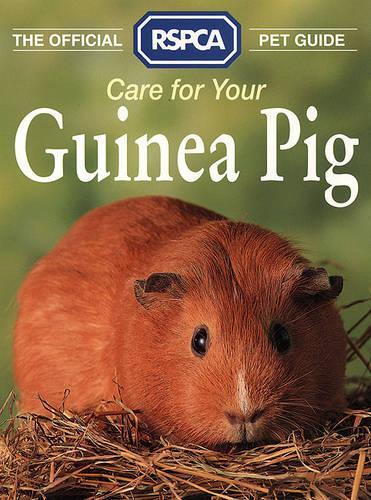 The Official RSPCA Pet Guide - Care for your Guinea Pig
