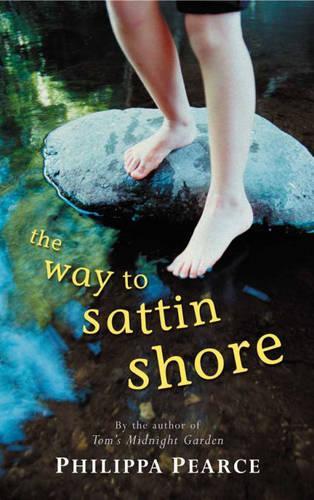 The Way to Sattin Shore (Puffin Books)