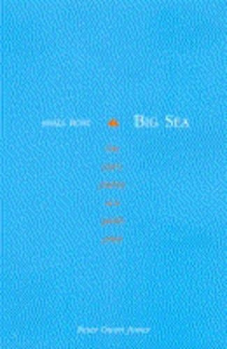 Small Boat Big Sea: One Years Journey as a Parish Priest