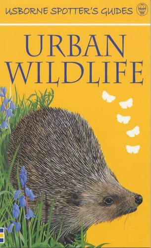 Urban Wildlife (Usborne New Spotters' Guides)