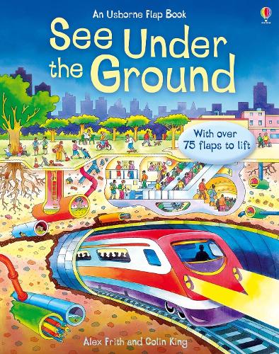 Under the Ground (See Inside) (Usborne See Inside)