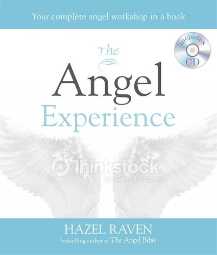 The Angel Experience: Your complete angel workshop in a book (Godsfield Experience)