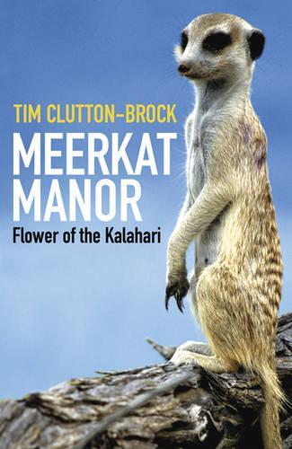 Meerkat Manor: Flower Of The Kalahari