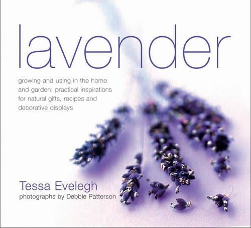 Lavender