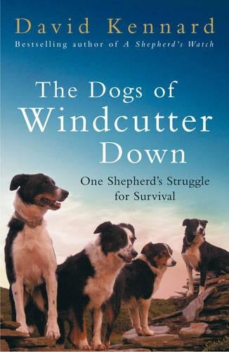 The Dogs of Windcutter Down: One Shepherds Struggle for Survival