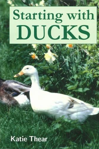 STARTING WITH DUCKS.