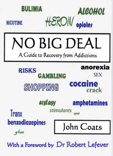 No Big Deal: A Guide to Recovery from Addictions