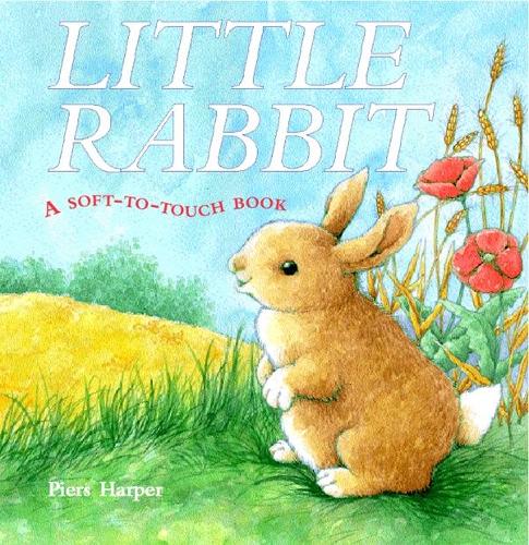 Little Rabbit: A Soft-to-Touch Book (Soft-to-Touch S.)