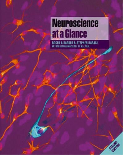 Neuroscience at a Glance