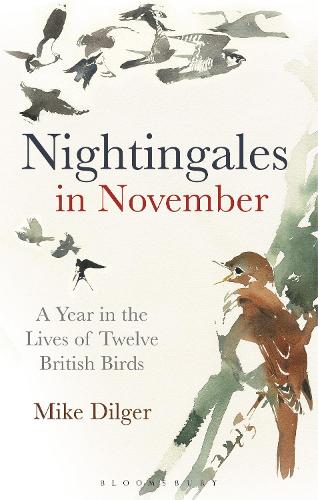 Nightingales in November