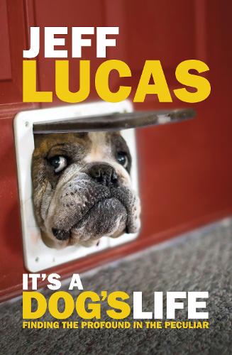 Its a Dogs Life: Finding the Profound in the Peculiar