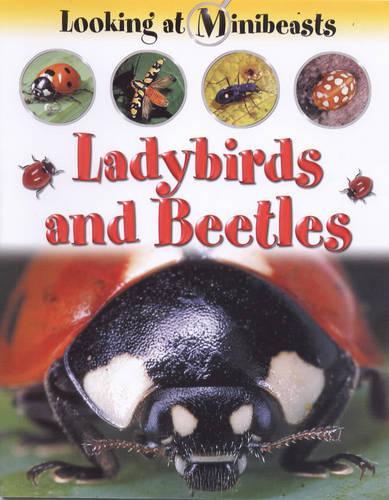 Ladybirds and Beetles (Looking at Minibeasts)