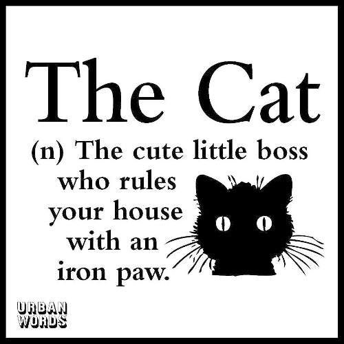 Urban Words - The Cat (Urban Words Gift Books)