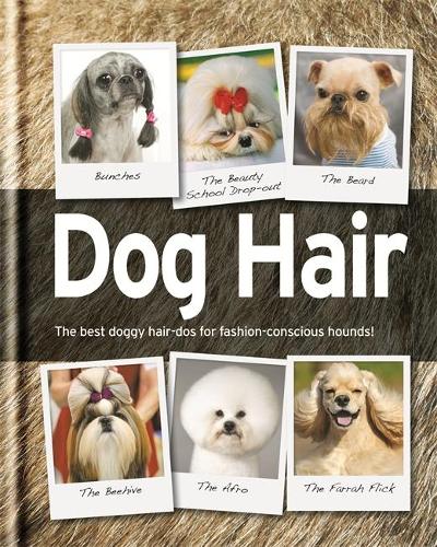 Dog Hair (Gift)