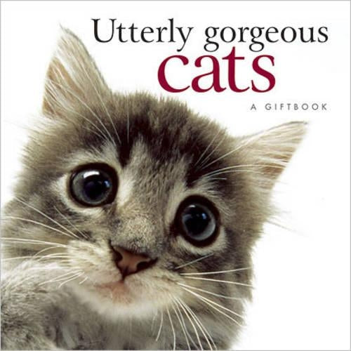 Utterly Gorgeous Cats (Helen Exley Giftbooks)