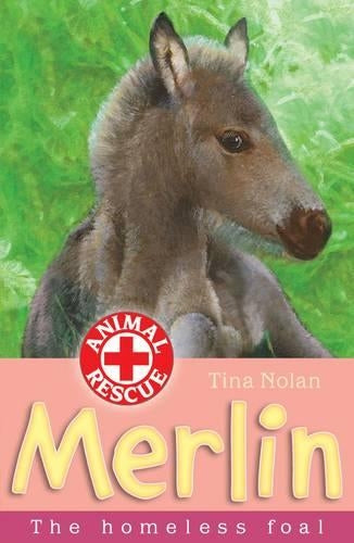 Merlin: The Homeless Foal (Animal Rescue)