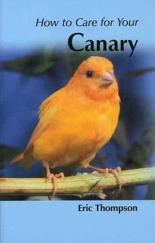 Your First Canary :