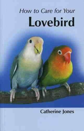 How to Care for Your Lovebird (Your first...series)