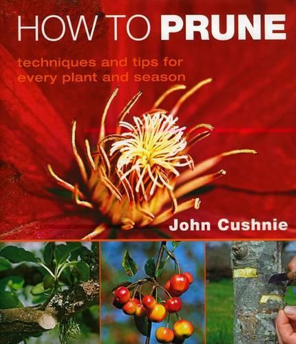 How to Prune: Techniques and Tips for Every Plant and Season
