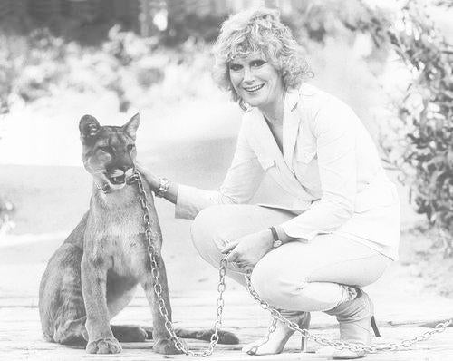 Dusty Springfield: A Life in Music
