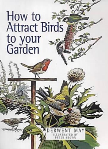 How to Attract Birds to the Garden