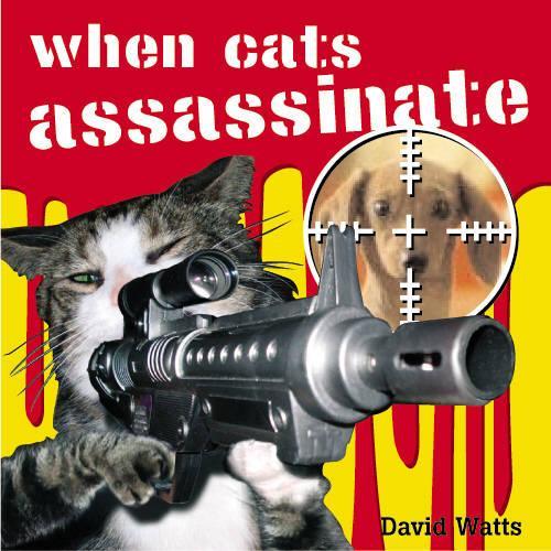 When Cats Assassinate