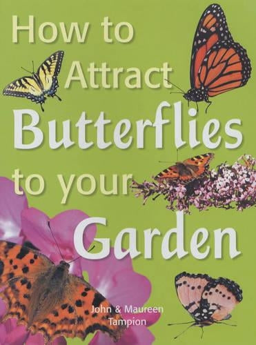 How to Attract Butterflies to Your Garden