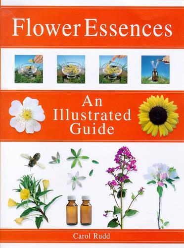 An Illustrated Guide