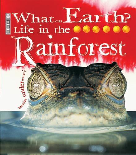 Life in the Rainforest (What on Earth)