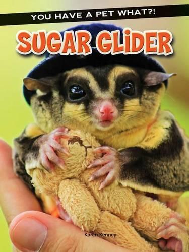 Sugar Glider (You Have a Pet What?!)