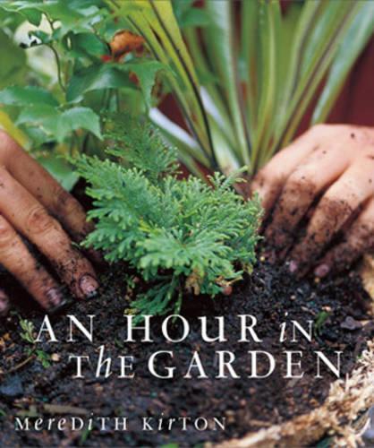 An Hour in the Garden