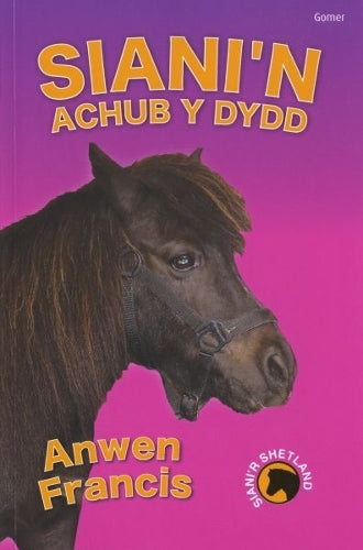 Sianir Shetland: Sianin Achub y Dydd