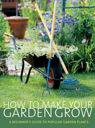 How to Make Your Garden Grow: A Beginners Guide to Popular Garden Plants