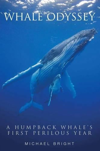 Whale Odyssey: A Humpback Whales First Perilous Year