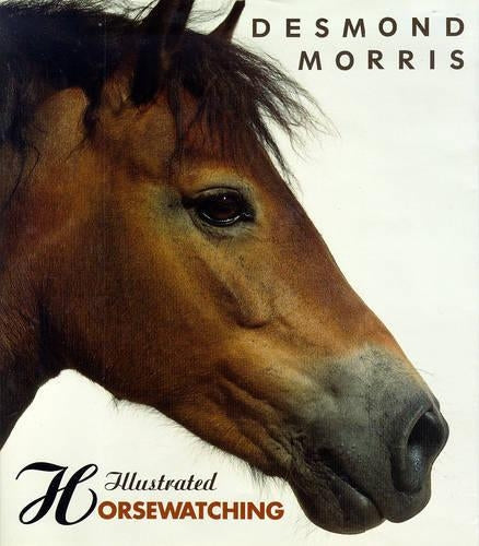 Illustrated Horsewatching