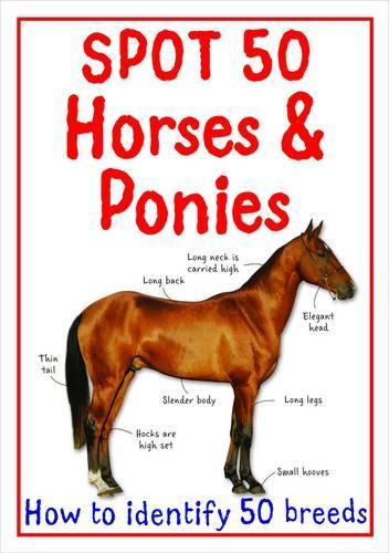 Spot 50 Horses and Ponies (Spot 50s)