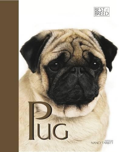 Pug - Best of Breed