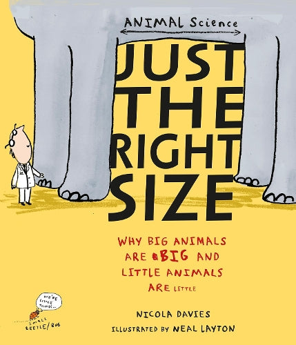 Just the Right Size: Why Big Animals Are Big and Little Animals Are Little (Animal Science)