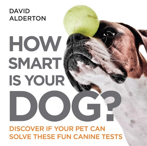 How Smart Is Your Dog?: Discover If Your Pet Can Solve These Fun Canine Tests (How Smart Is Your Pet?)