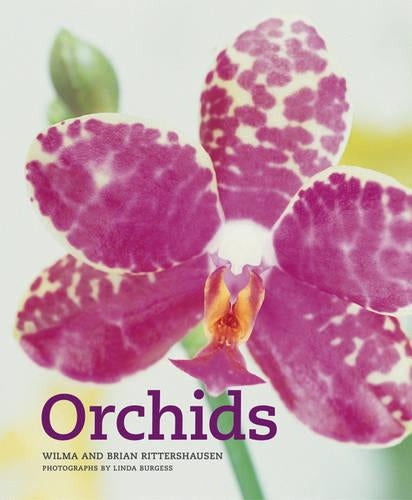 Orchids