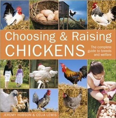 Choosing & Raising Chickens