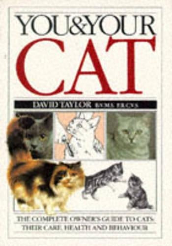 You and Your Cat (You & your)