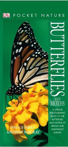 Butterflies & Moths (Pocket Nature)