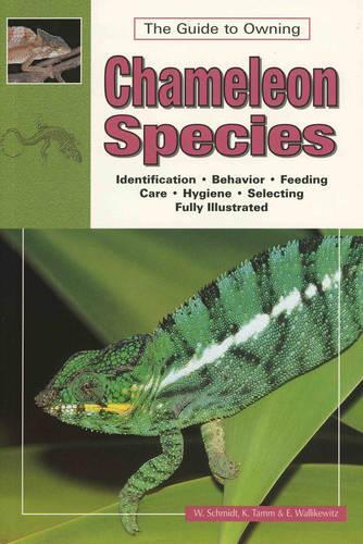 Chameleons: v. 1
