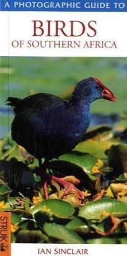 Southern African Birds: A Photographic Guide (Photographic Guides)