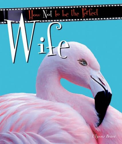 How Not to be The Perfect Wife (How Not to be the Perfect...)