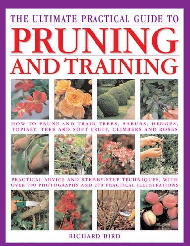 Ultimate Pruning And Training