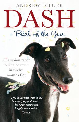 Dash: Bitch of the Year