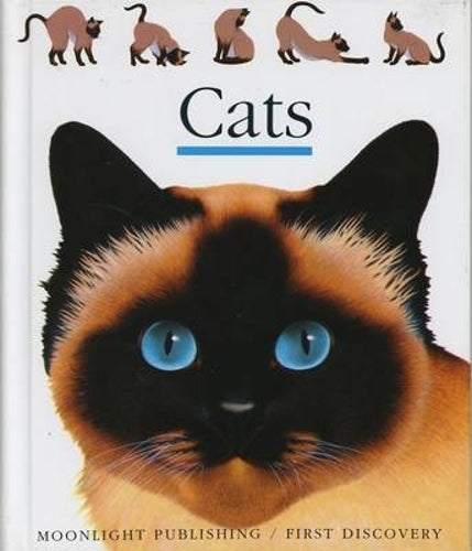 Cats (First Discovery) (First Discovery Series)