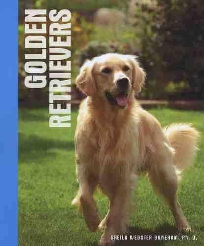 Golden Retrievers